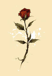 A Rose