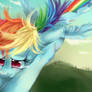 Rainbow Dash thinks of her Friends.