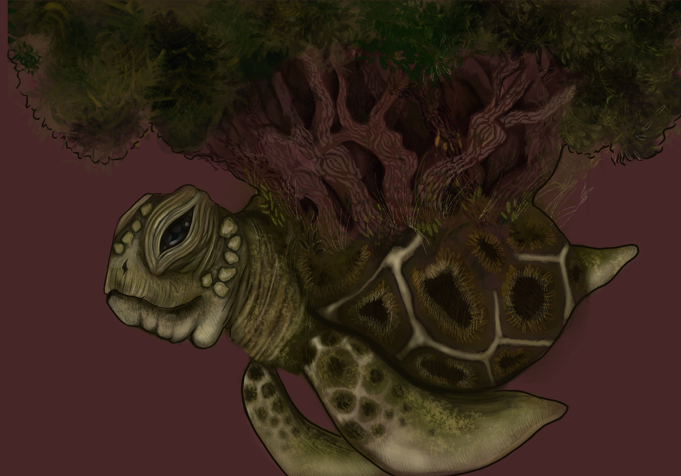 Turtles Deviantart Bongo Terry Pratchett inspired turtle by fushigiuwu on DeviantArt