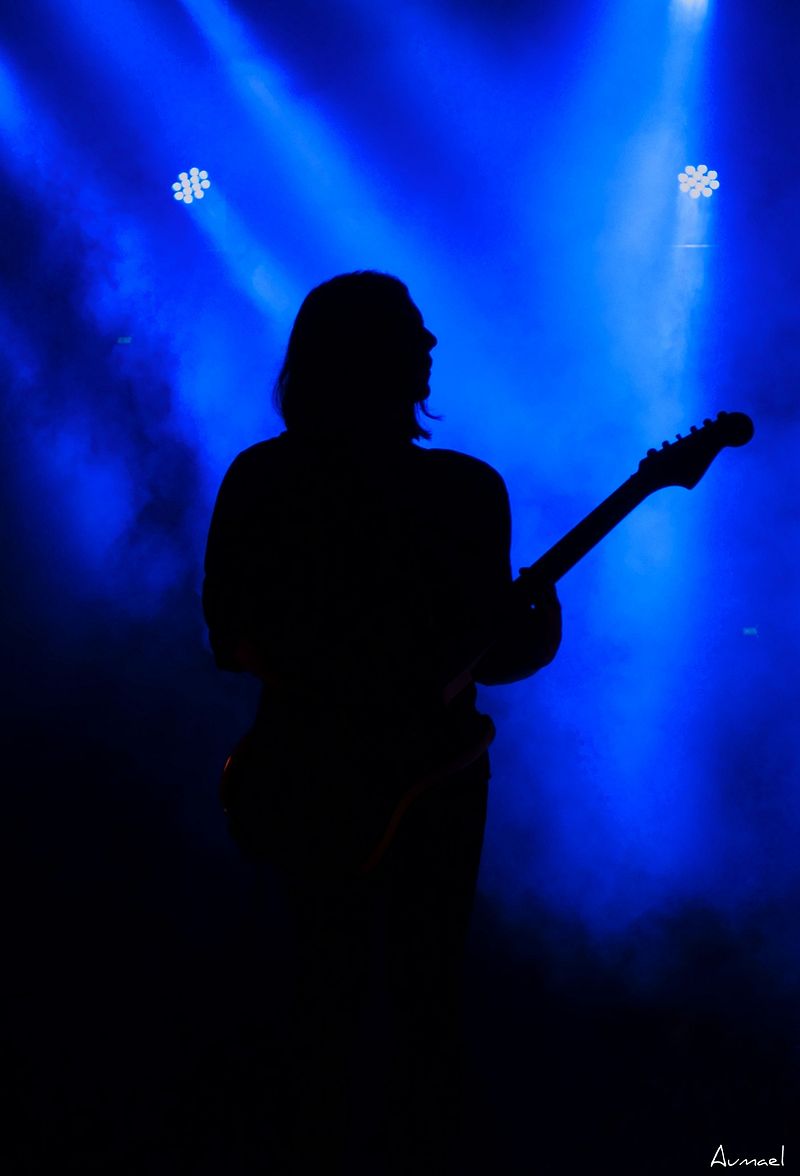 Shadow singer at Musilac, 2014 by Aumael on DeviantArt