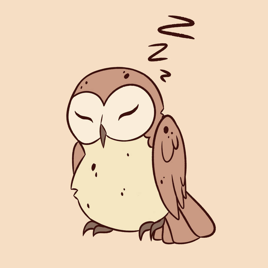 Sleep Less Owl Sleepy Owl by BirdPresident on DeviantArt