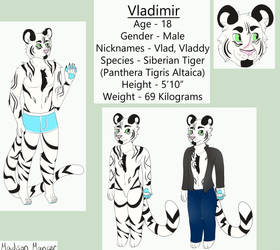 [G] Vlad Ref Sheet