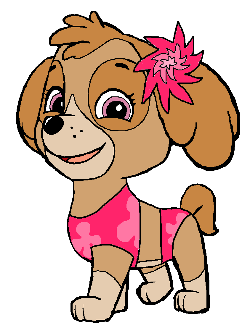 Skye paw top patrol swimsuit