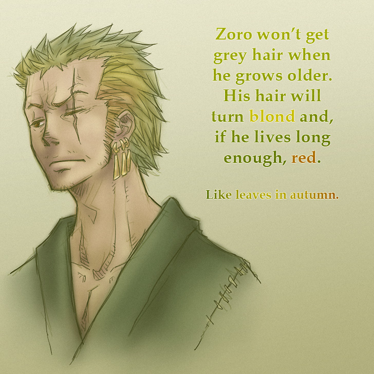 Pq o zoro sola : r/HUEstation