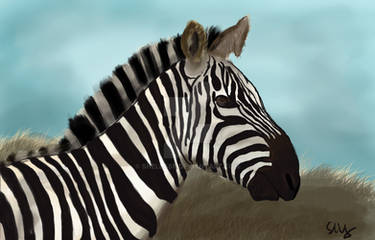 Zebrawip