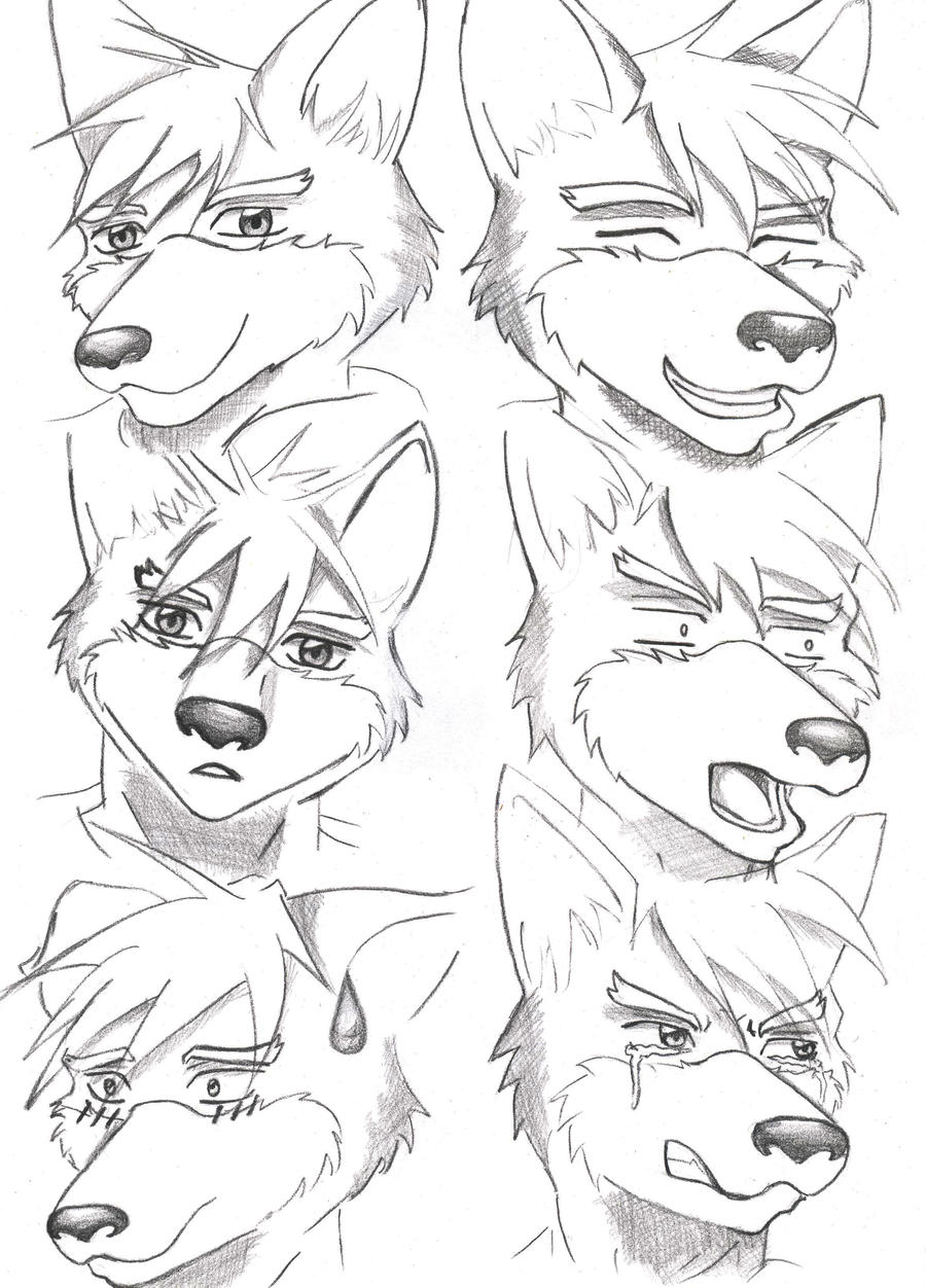 Fox Emotions