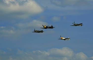 The Warbirds of Goodwood