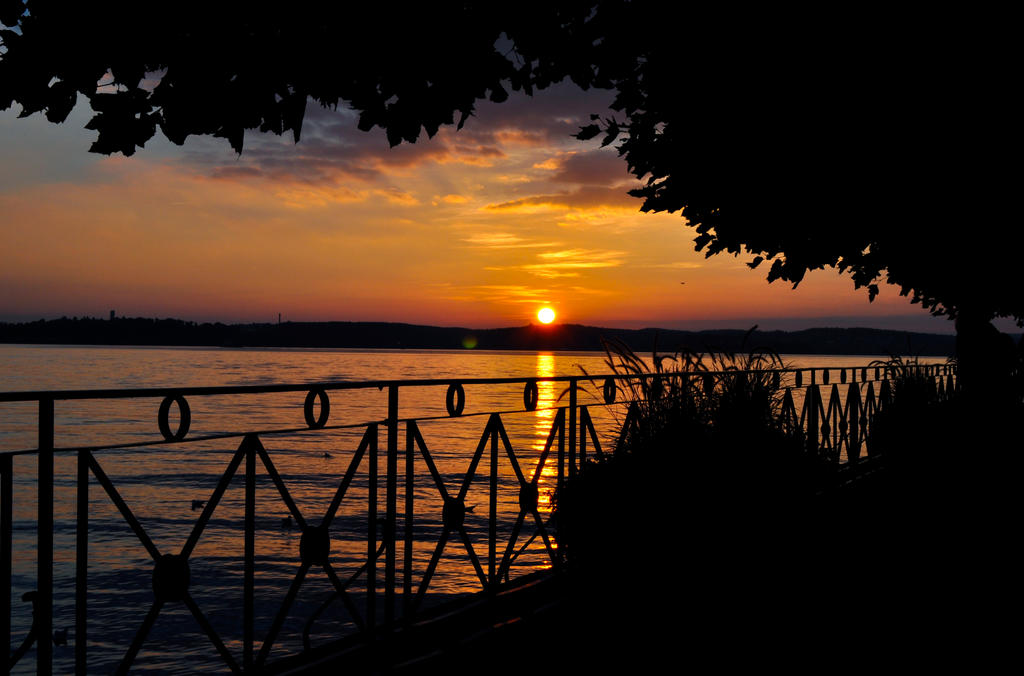 Sunset Silhouette