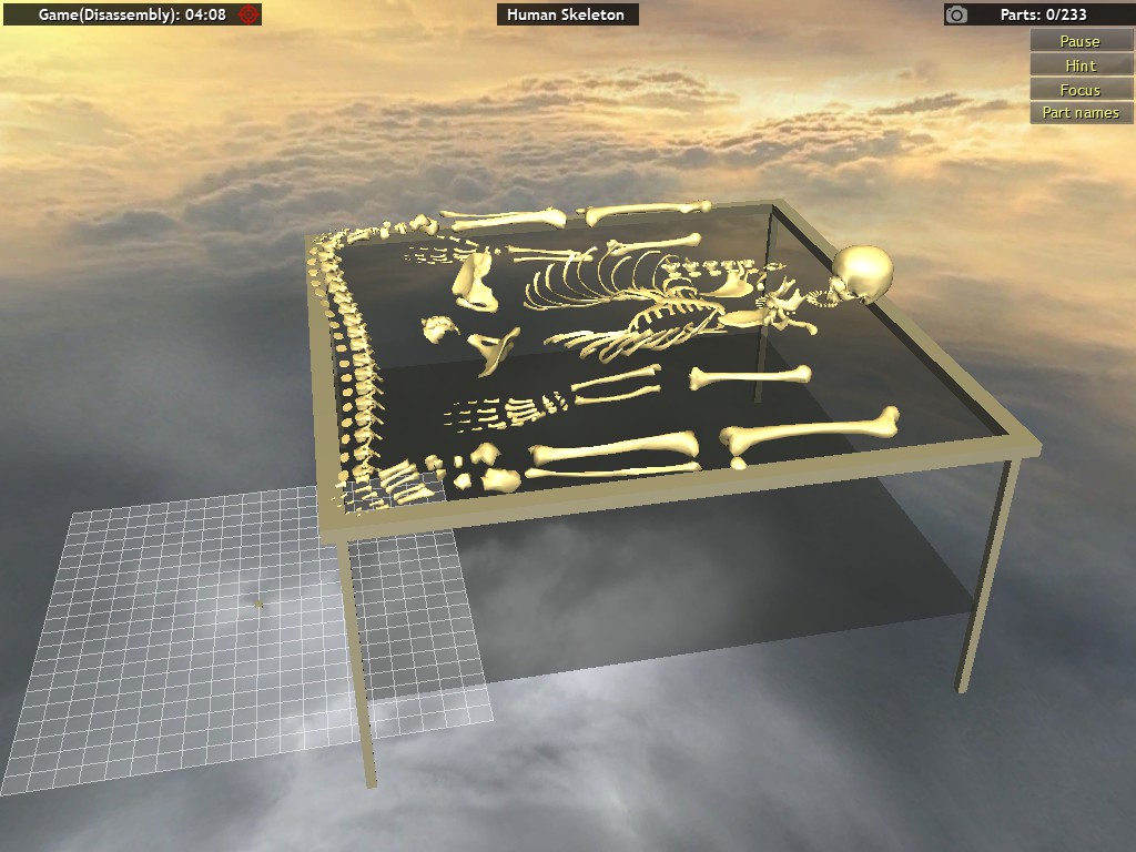 Human Skeleton Tooken Apart by ZanPeriorArk on DeviantArt