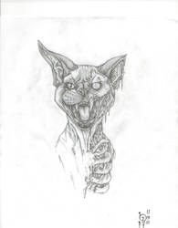 Zombi Cat