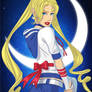 Sailor Moon grown up 3