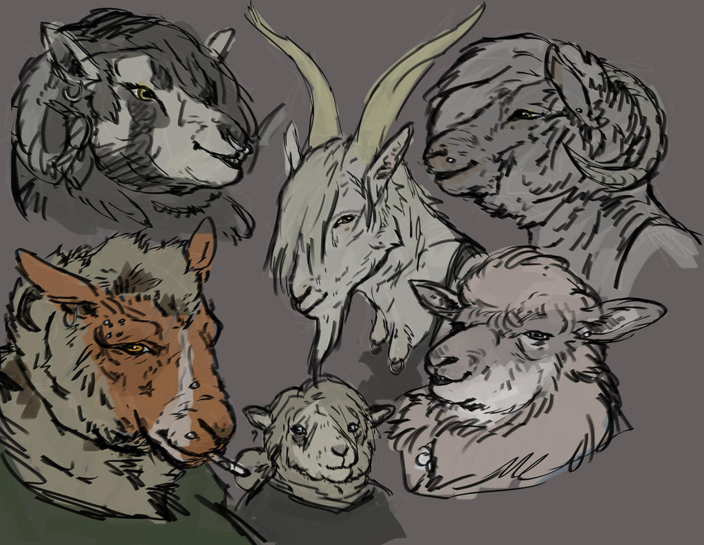 Deviantart Characters Sheep Sheeps by BASELARDER on DeviantArt