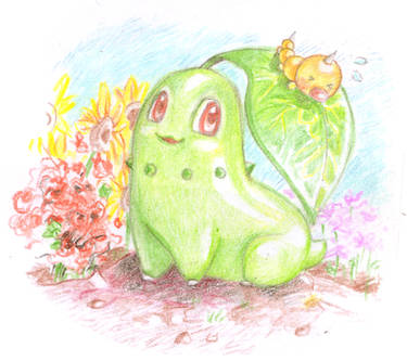 Chikorita and Weedle