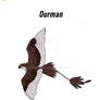 Animals of Otacaia - #128 - Ourman
