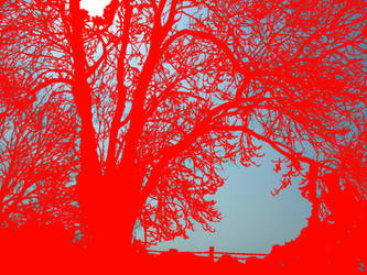 Red Tree