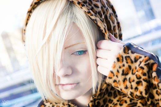 A lonely leopard (Yuri Plisetsky)