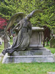 Wimborne Road Cemetery 39 by LadyxBoleyn