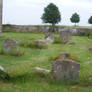 Churchyard 6
