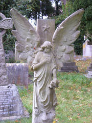 St. Mark's Cemetery 7