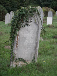 Southampton Old Cemetery 37