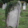 Southampton Old Cemetery 37