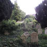 Southampton Old Cemetery 111