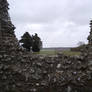 Knowlton Church Ruin 16