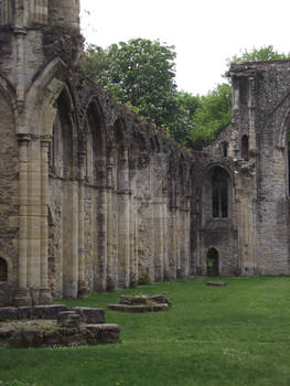 Netley Abbey May 2011 31