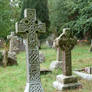 Brockenhurst Graveyard 37