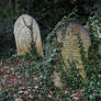 Highgate Cemetery 2012 93