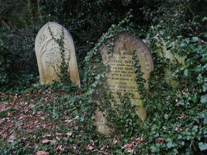 Highgate Cemetery 2012 93