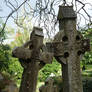 Southampton Old Cemetery 2012 69
