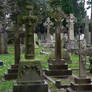 Wimborne Road Cemetery 2013 37