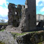 Raglan Castle 05