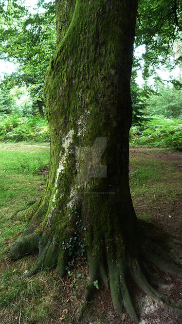 Fallout RP map II by USSMidway1978 on DeviantArt