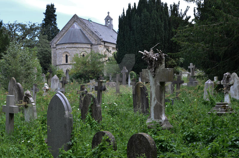 Southampton Old Cemetery 2014 76