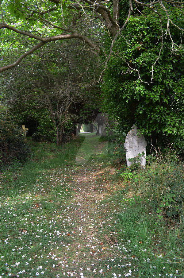 Southampton Old Cemetery 2014 43