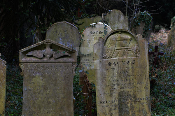 Southampton Old Cemetery 2015 160