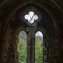 Netley Abbey 8