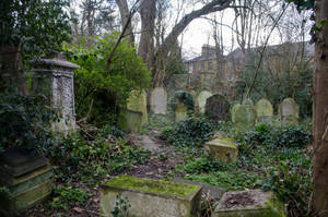 Abney Park 71