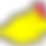 Beaming Sun