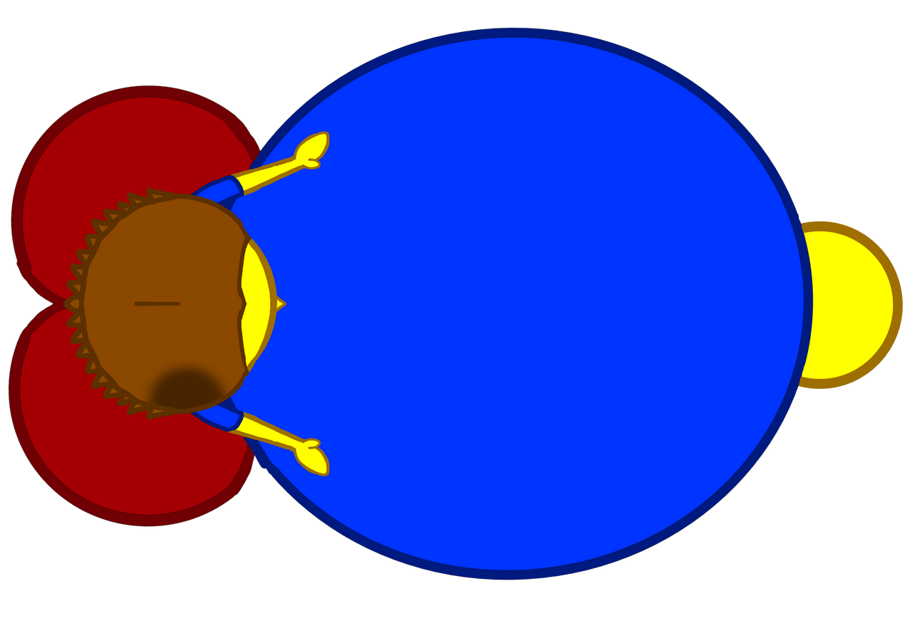 High-Angle Shot: Aiden