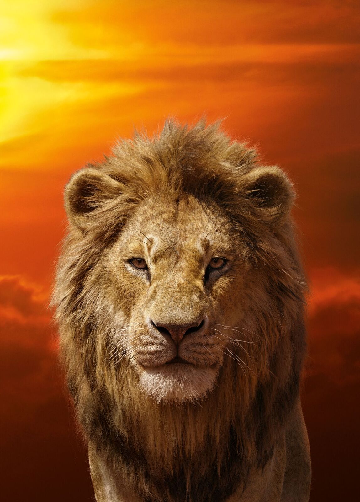 The Lion King (2019) | Simba Textless By Mintmovi3 On Deviantart