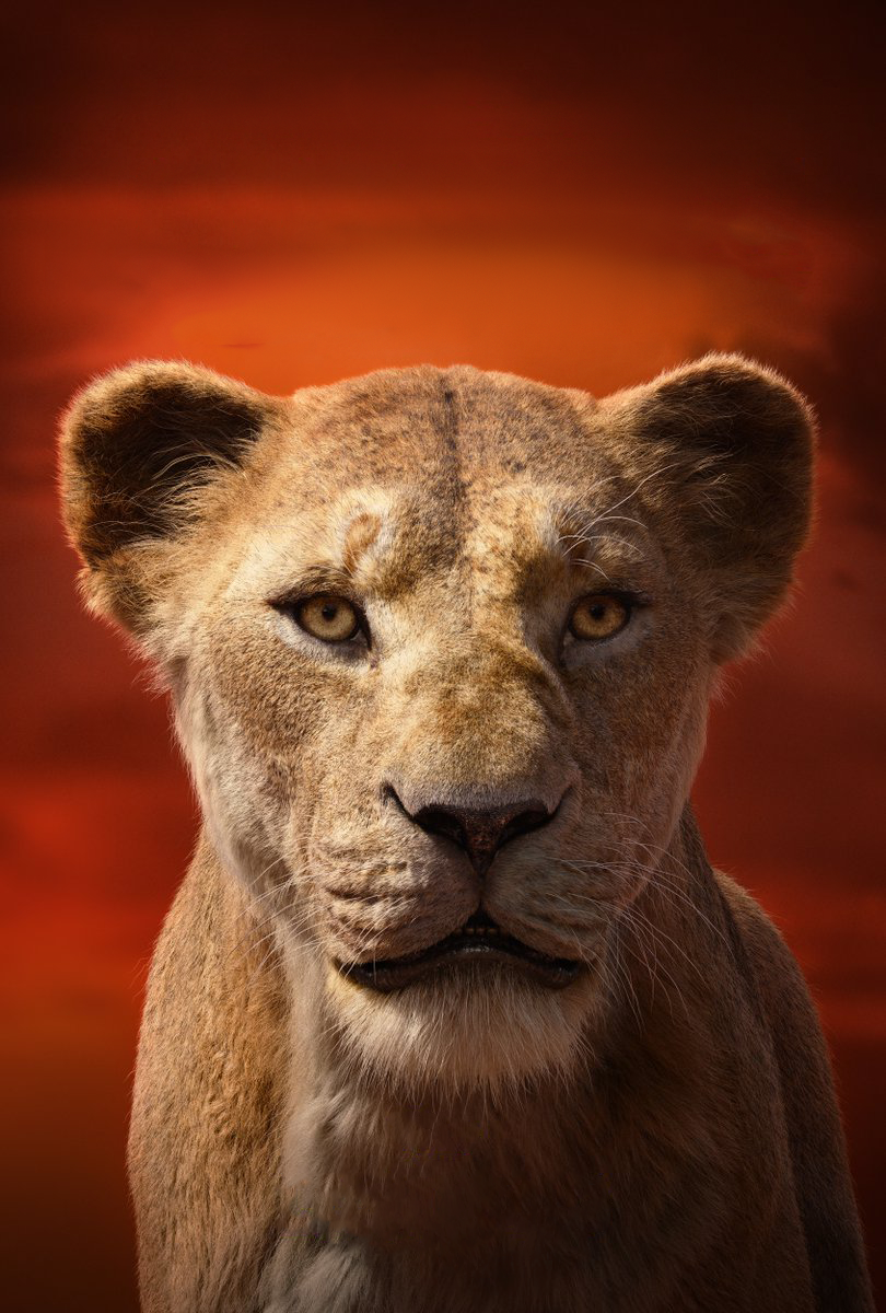 The lion king 2019 online online