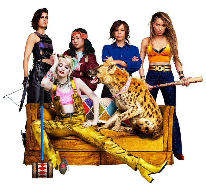 Birds Of Prey 2020 Png By Mintmovi3 On Deviantart