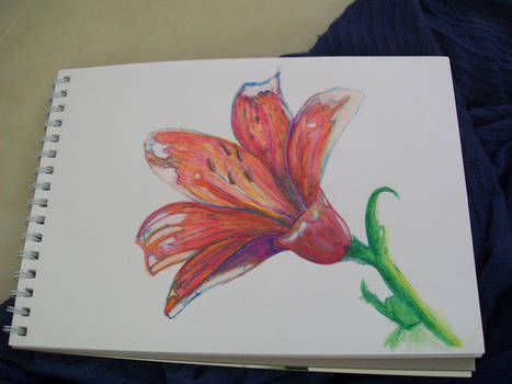 Half hour flower