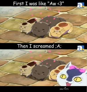 Hetalia Kitties