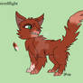 Squirrelflight desgin