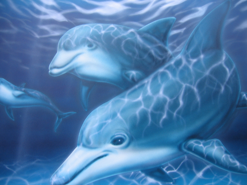 dolphins