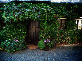 Overgrown cottage